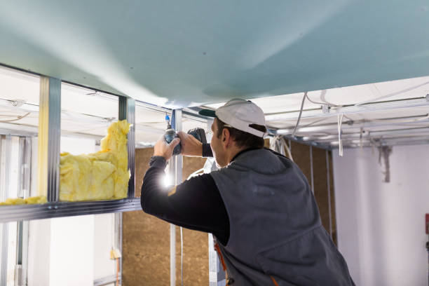 Best Types of Insulation in Spring Green, WI